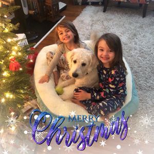 Meet your Posher, Haley